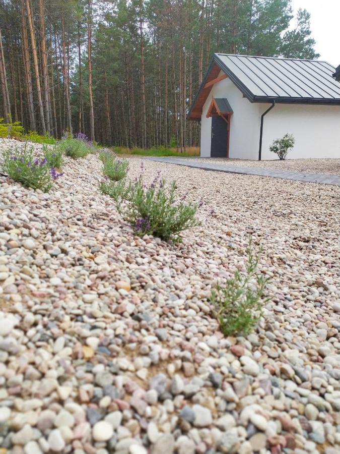 Zurawia Polana Villa Swietajno  Eksteriør bilde