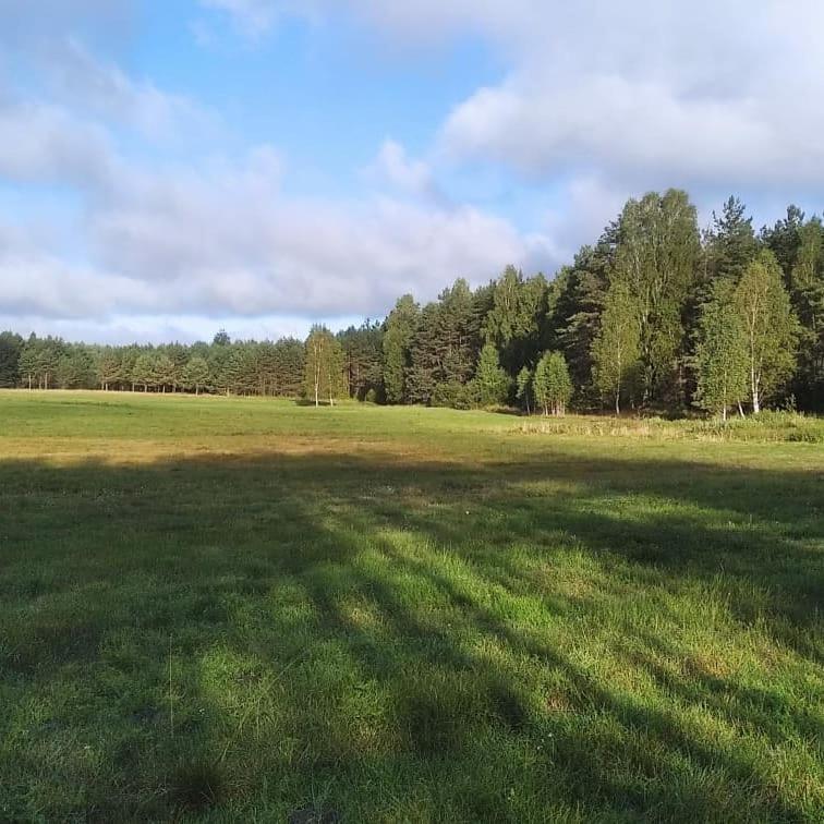 Zurawia Polana Villa Swietajno  Eksteriør bilde