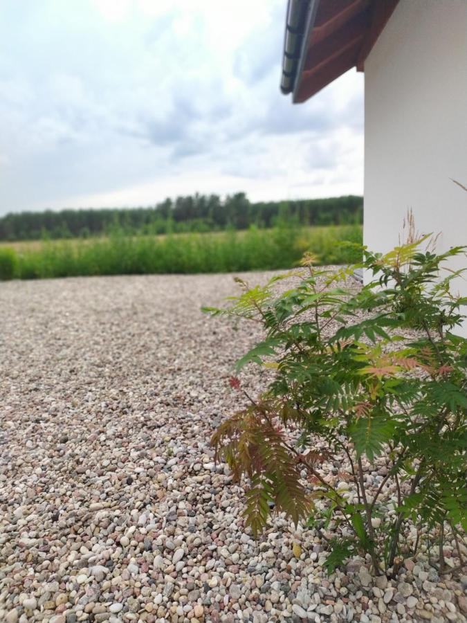 Zurawia Polana Villa Swietajno  Eksteriør bilde